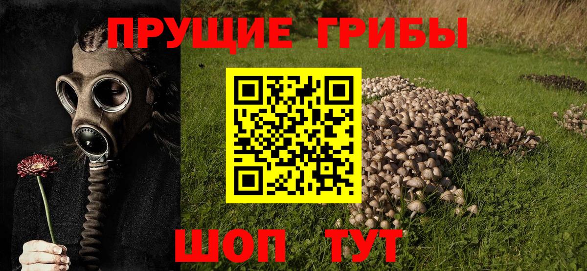 Галлюциногенные грибы GOLDEN TEACHER Липецк