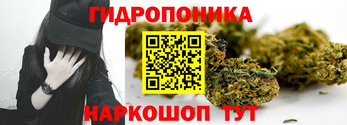 Каннабис конопля Липецк